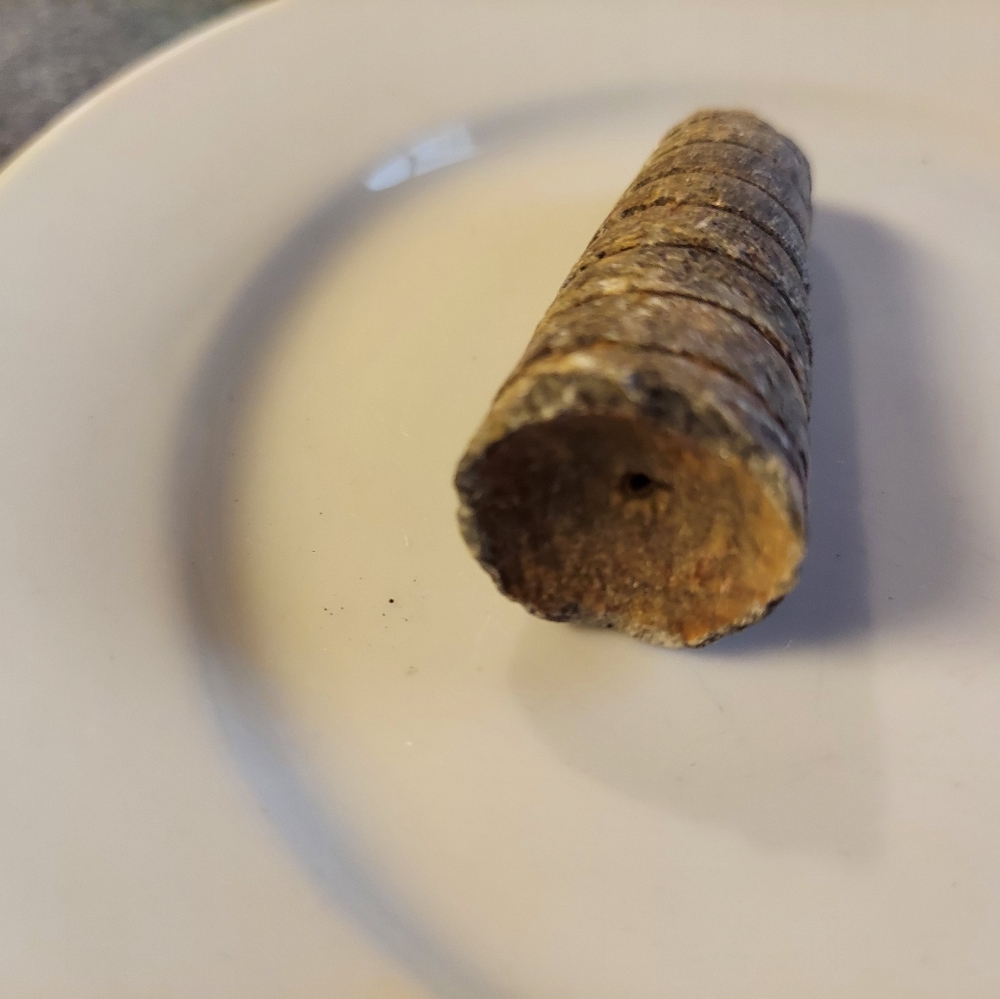 Y2k ORTHOCERAS FOSSIL - RARE EUC! - Picture 3 of 10